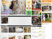 【4月1日】「グッドスマイルカンパニー」公式サイト更新の画像