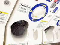 【虫注意】バンダイより「ダンゴムシ」のガチャガチャが発売決定の画像