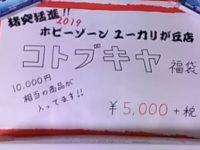 【福袋】千葉ホビーゾーン「コトブキヤ福袋」開封紹介の画像
