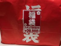 【福袋】トレーダー「フィギュア詰め合わせ福袋（2万円）」開封紹介の画像