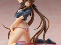 【閃乱カグラ】プルーヴィー「両備」「両奈」セーラー服Ver. フィギュア【Amazon再販予約開始】の画像