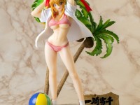 【一騎当千EE】NVT「孫策伯符」「趙雲子龍」フィギュア 商品画像公開の画像