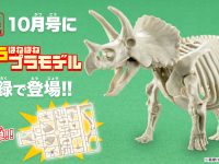 【プラモ】雑誌「小学一年生 10月号」にバンダイ製「トリケラトプス きょうりゅうほねほねプラモデル」が付録の画像