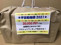 【フィギュア福袋】アクションフィギュア多め「宇宙船 福袋（3万円）」開封紹介の画像