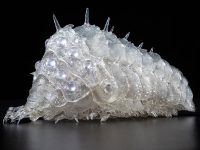 【風の谷のナウシカ】タケヤ式自在置物「王蟲 クリア」可動フィギュア 予約開始、通常カラーの再販もありの画像