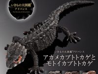 「アカメカブトトカゲとモトイカブトトカゲ」オンラインガシャポンで販売中の画像