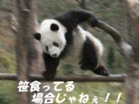 【カプセル】「THE テント」発売決定!1/12の限界に挑戦の画像