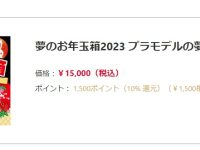 【プラモデル福袋ほか】「ヨドバシ夢のお年玉箱」好評につき追加受付決定【結果発表！】の画像