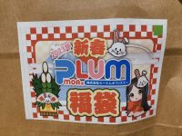 【美少女フィギュア福袋】プラム「フィギュア福袋(2万円)」開封紹介の画像