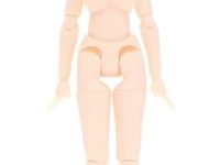 【可動フィギュア用に】アゾン「ピコニーモSボディ 女の子 3Lバスト」一般販売決定の画像