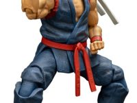 【バーチャファイター】「結城晶(特別版)」アクションフィギュア 駿河屋・でじたみん限定で予約開始の画像