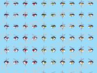 【メガミデバイス】瞳デカールセット「皇巫 スサノヲ 蒼炎 用」「SOLストライクラプター 用」【Amazon予約開始】の画像