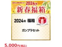 【ガンプラ福袋】ビックカメラ「ガンプラセット 福箱」抽選販売 受付開始の画像