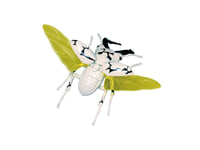 【ウルトラマン】ウルトラ怪獣「クワガタムシ エレキング仕様」「クワガタムシ ゼットン仕様」「クワガタムシ ダダ仕様」プラモデル 予約開始の画像