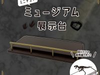 【ミニフィギュア用に】「ミュージアム展示台」100円ショップで発売中の画像