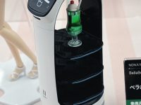 【AKガーデン】「コトブキヤ（創彩少女庭園ほか）」新作プラモ情報まとめの画像