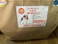 【ホビー福袋】ユーザー様提供「フィギュア&プラモ福袋2025」開封報告まとめ！【その9 たぶんラスト！】の画像