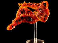 【ストリートファイター】「Jada Toys」イベント販売アイテム公開の画像