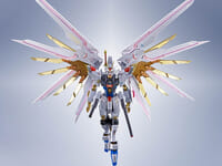 【予約開始】「METAL ROBOT魂 マイティーストライクフリーダムガンダム 最終決戦 Ver.」ほか、「PREMIUM BANDAI FESTIVAL 2025」魂ネイションズ4アイテムの画像
