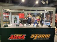 【鴉-KARAS-】ストームコレクティブルズ「先代鴉」「廻向」1/12スケールアクションフィギュア化決定の画像