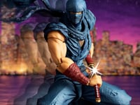 【NINJA GAIDEN(忍者龍剣伝)】アメイジング・ヤマグチ「リュウ・ハヤブサ」可動フィギュア【近日予約開始】の画像