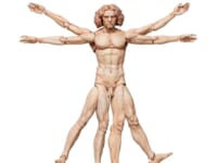 figma テーブル美術館「ウィトルウィウス的人体図」可動フィギュア【再販予約開始】の画像