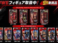 【プロレス】「WWE」アクションフィギュア各種【ドン・キホーテで9月26日発売決定】の画像