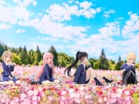 【きみが死ぬまで恋をしたい】CHILLfigg Relax「きみが死ぬまで恋をしたい」トレフィグ【予約開始】の画像
