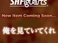 【僕のヒーローアカデミア】S.H.Figuarts新作は「エンデヴァー」？の画像