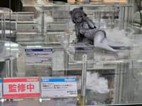 【無職転生】メガハウス「てのひらエリス 添い寝だニャンVer.」フィギュア【原型公開】