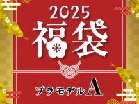 【プラモ福袋】ポストホビー「2025年新春福袋 プラモデル福袋」【本日20時販売開始！】の画像