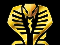 【仮面ライダー龍騎】S.H.Figuarts真骨彫製法 新作は「仮面ライダー王蛇」?の画像