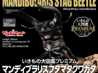 【ガシャポン】いきもの大図鑑プレミアム「マンディブラリスフタマタクワガタ ブラック/レッド」ガシャポンオンライン限定【予約開始】の画像